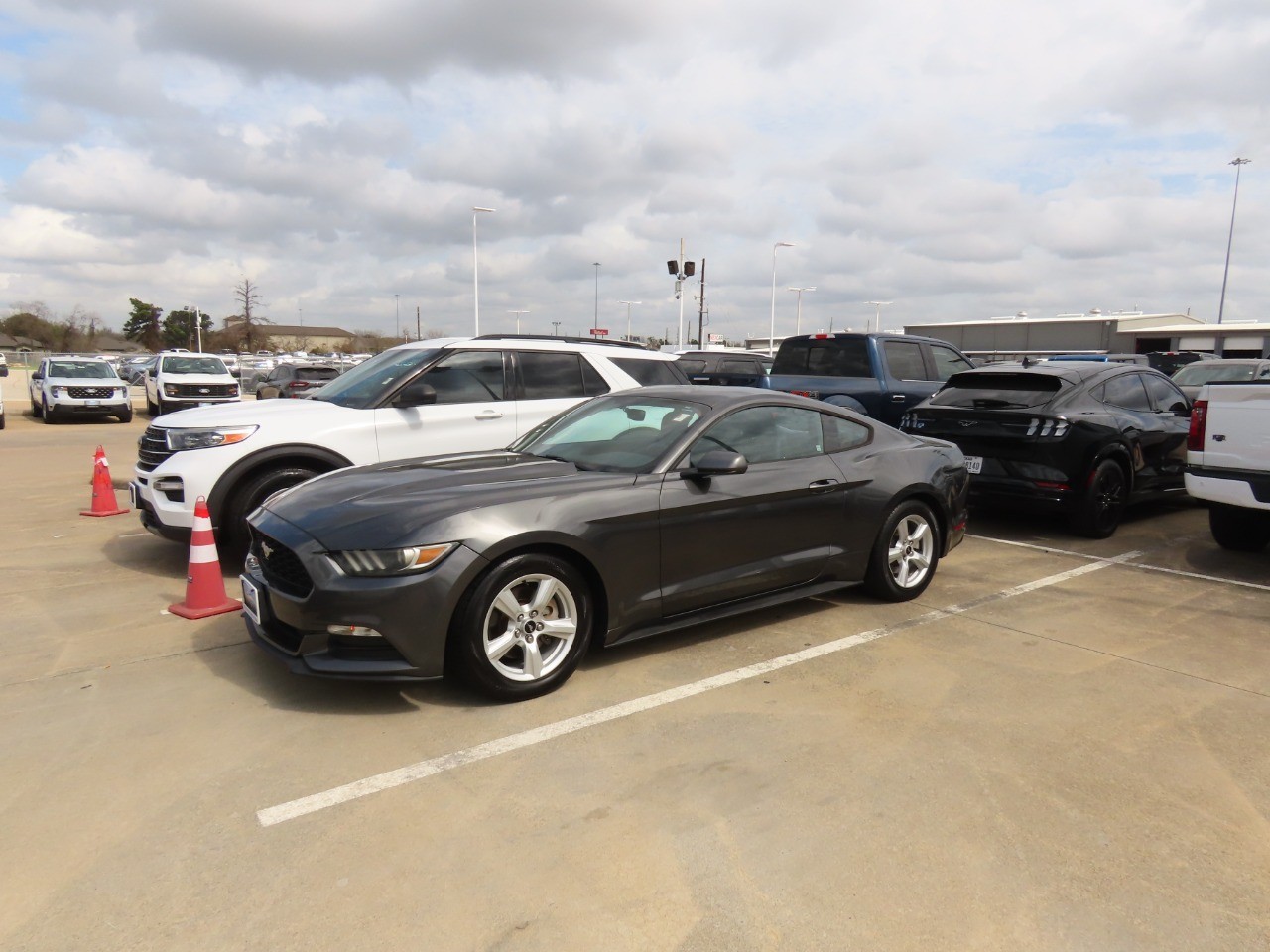 used 2016 Ford Mustang car