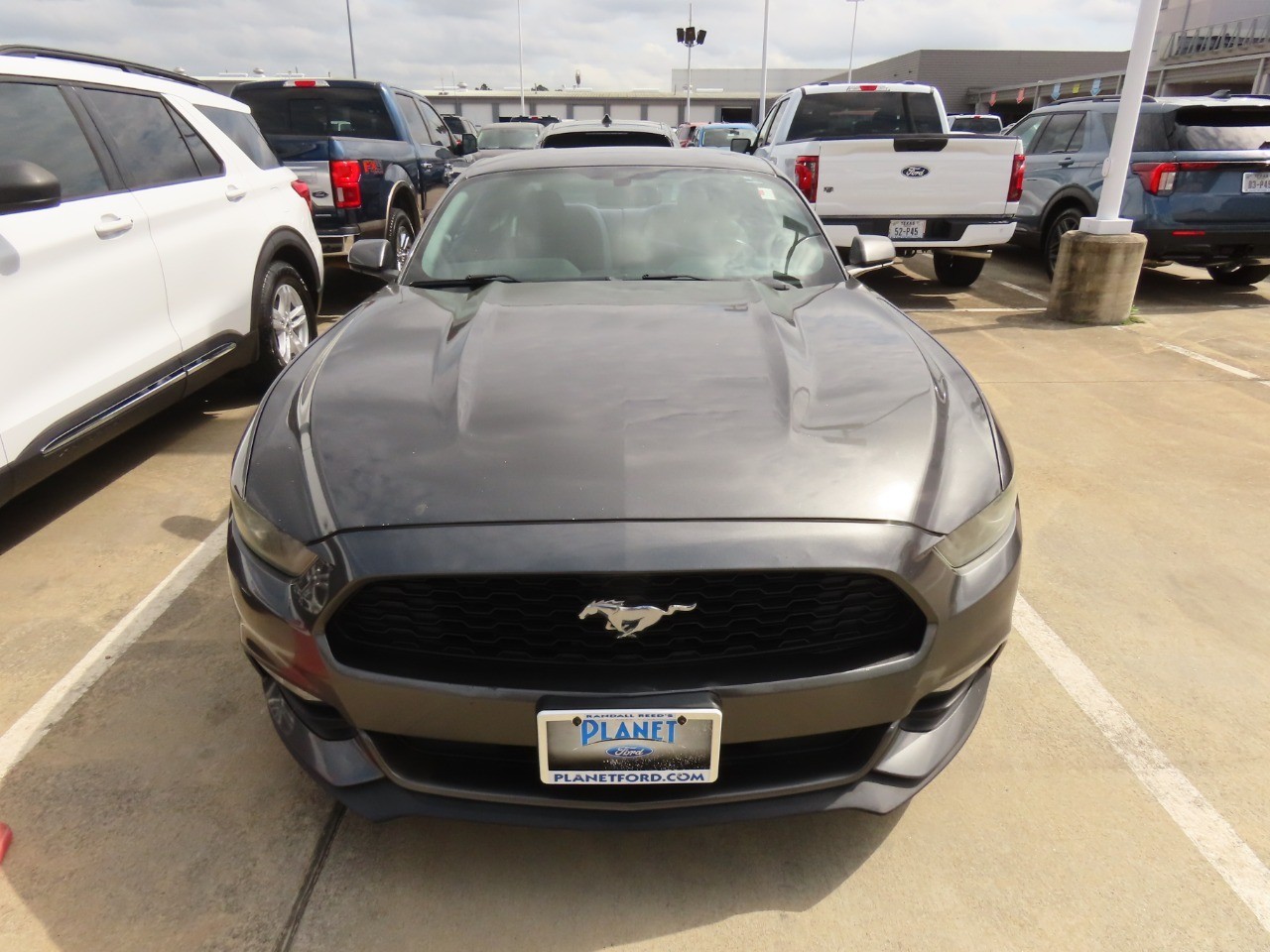 used 2016 Ford Mustang car