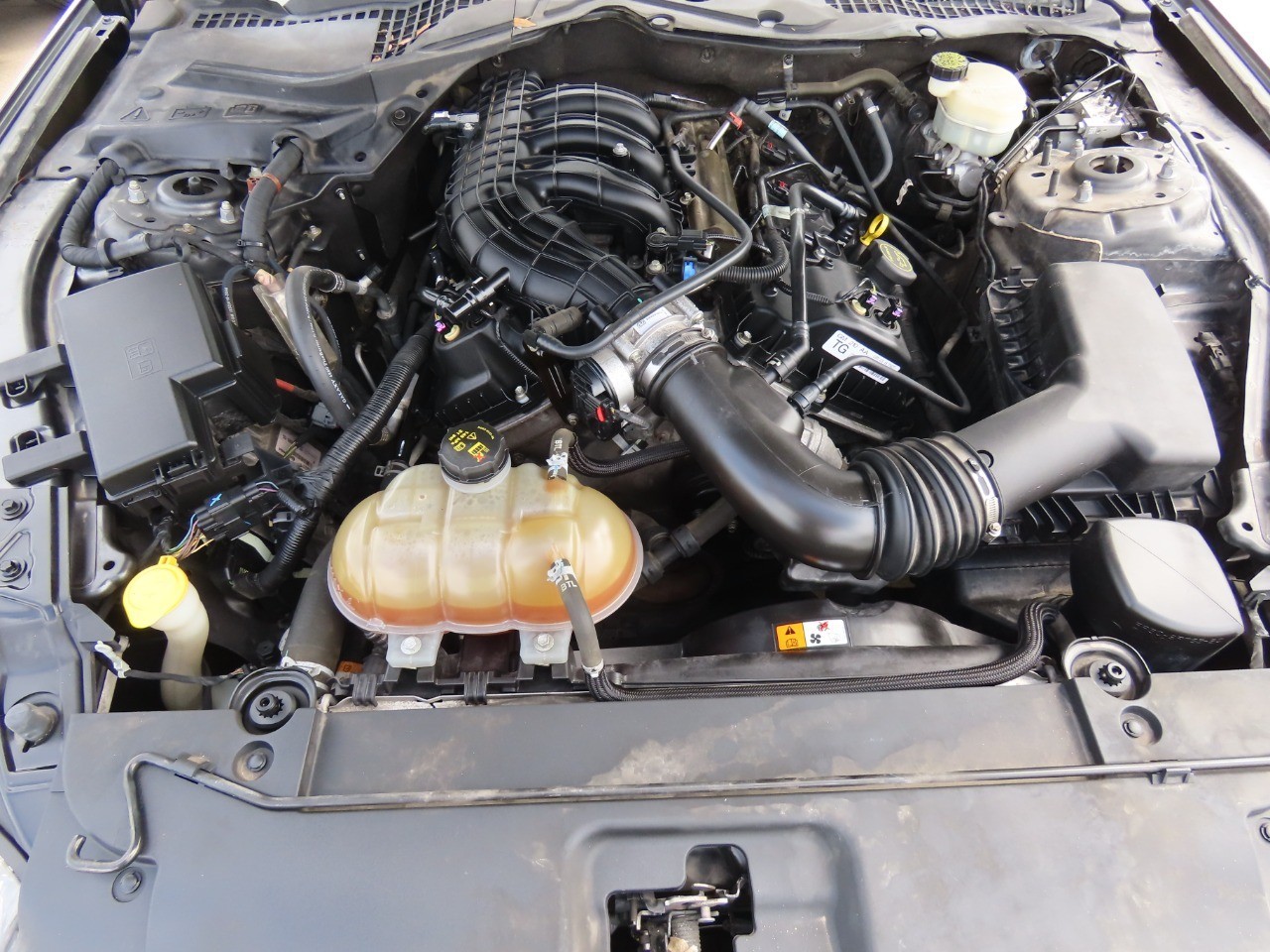 used 2016 Ford Mustang car