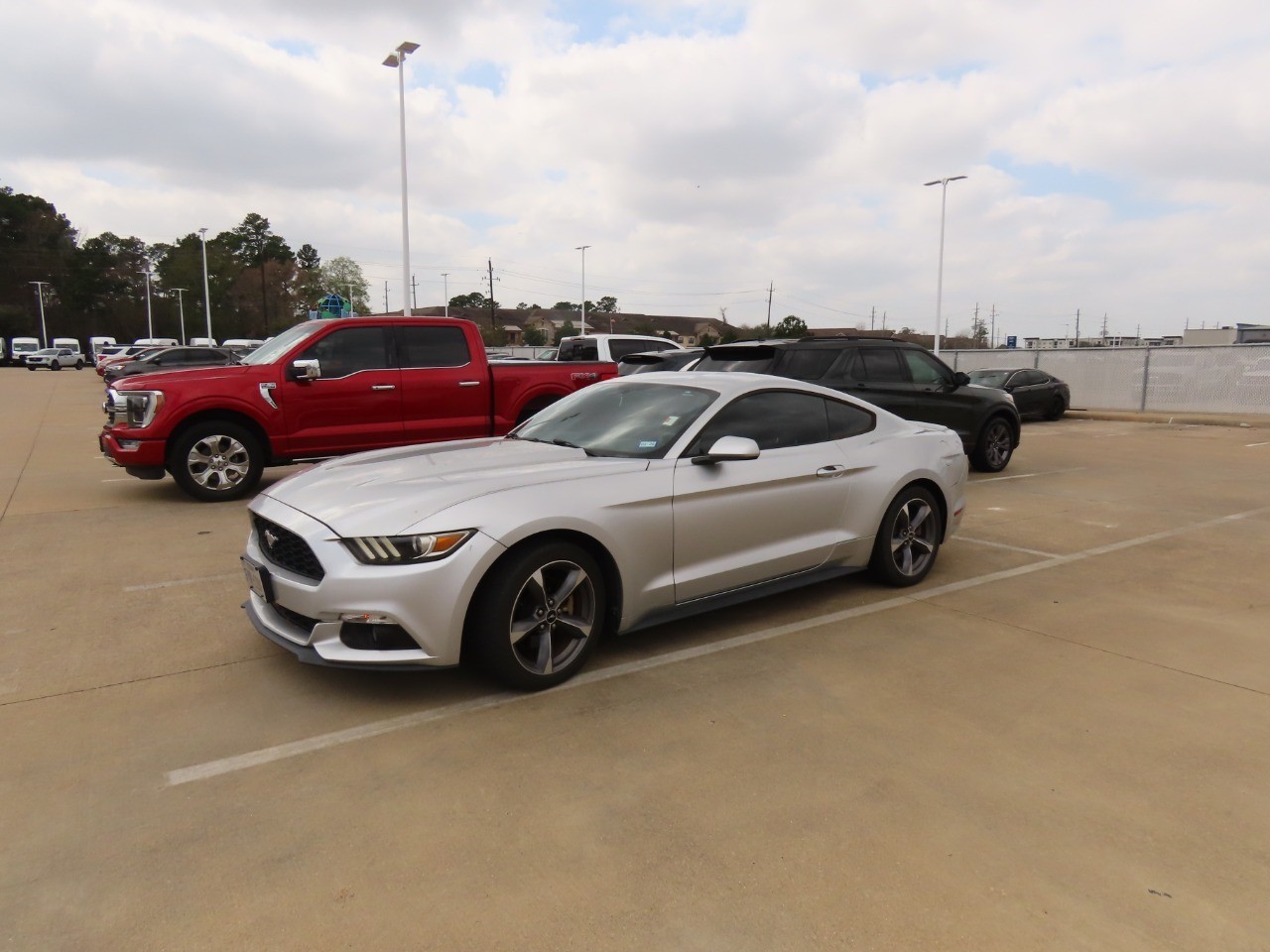 used 2015 Ford Mustang car