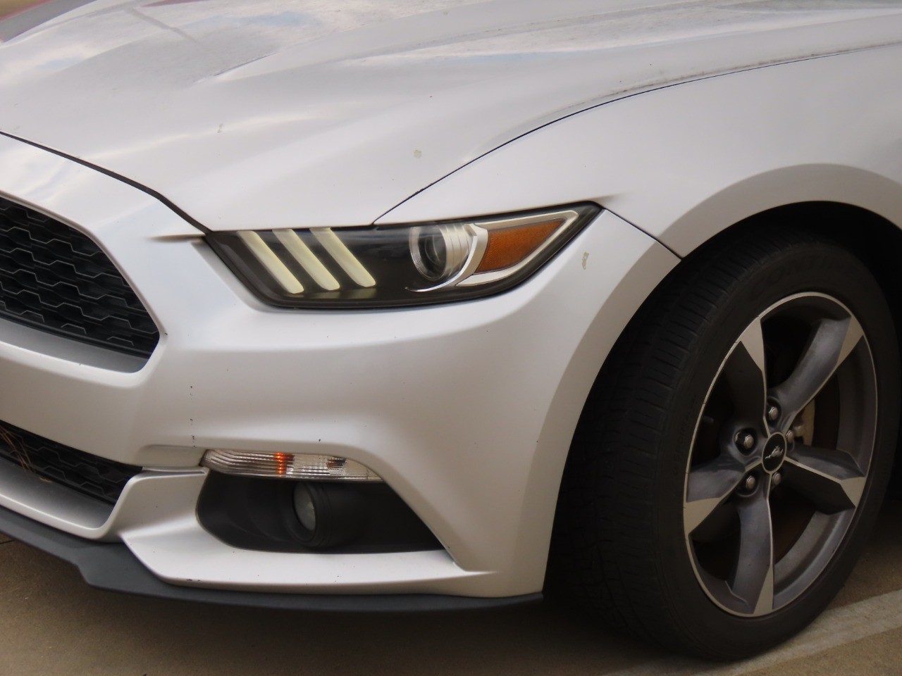 used 2015 Ford Mustang car