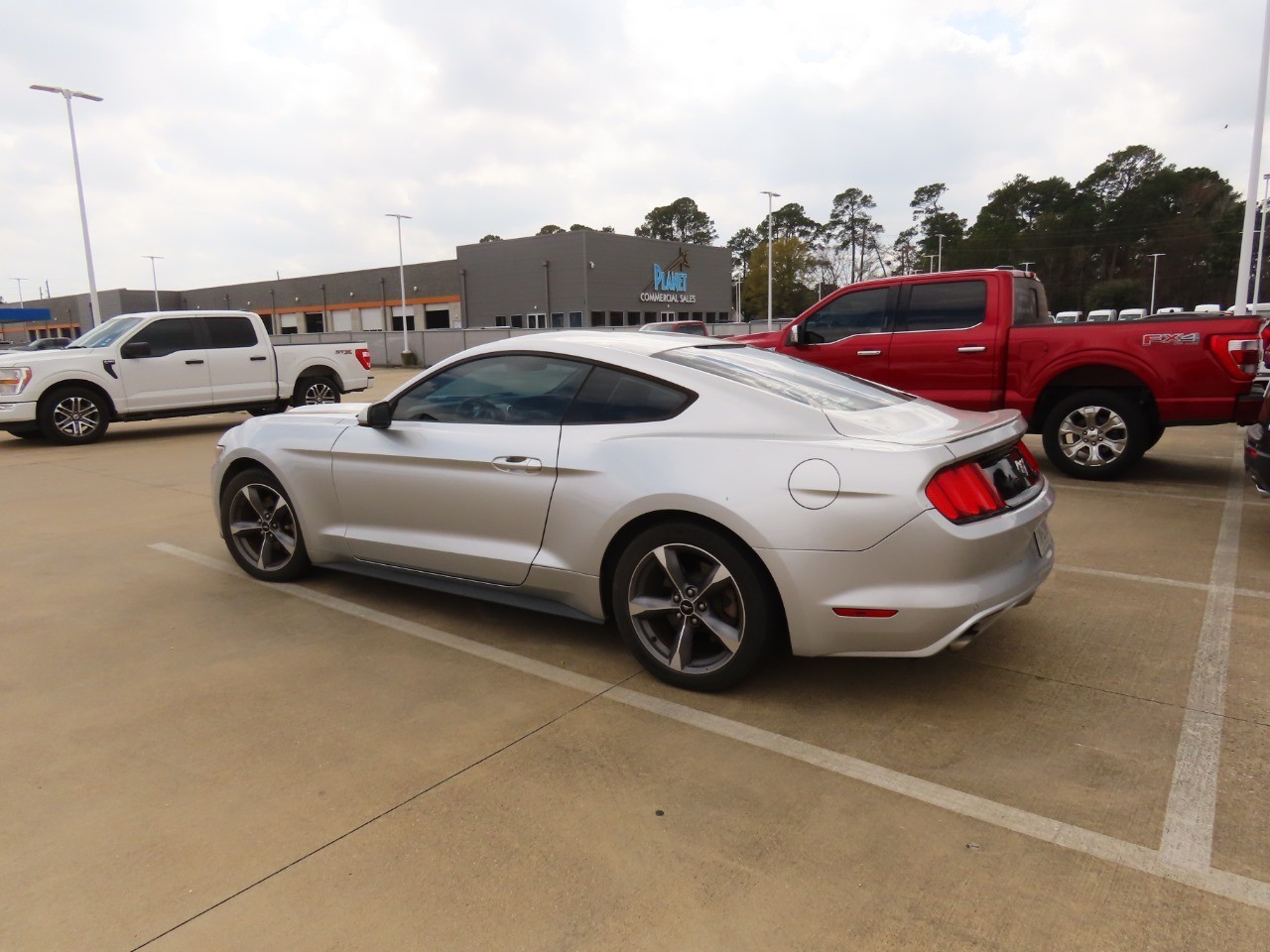 used 2015 Ford Mustang car