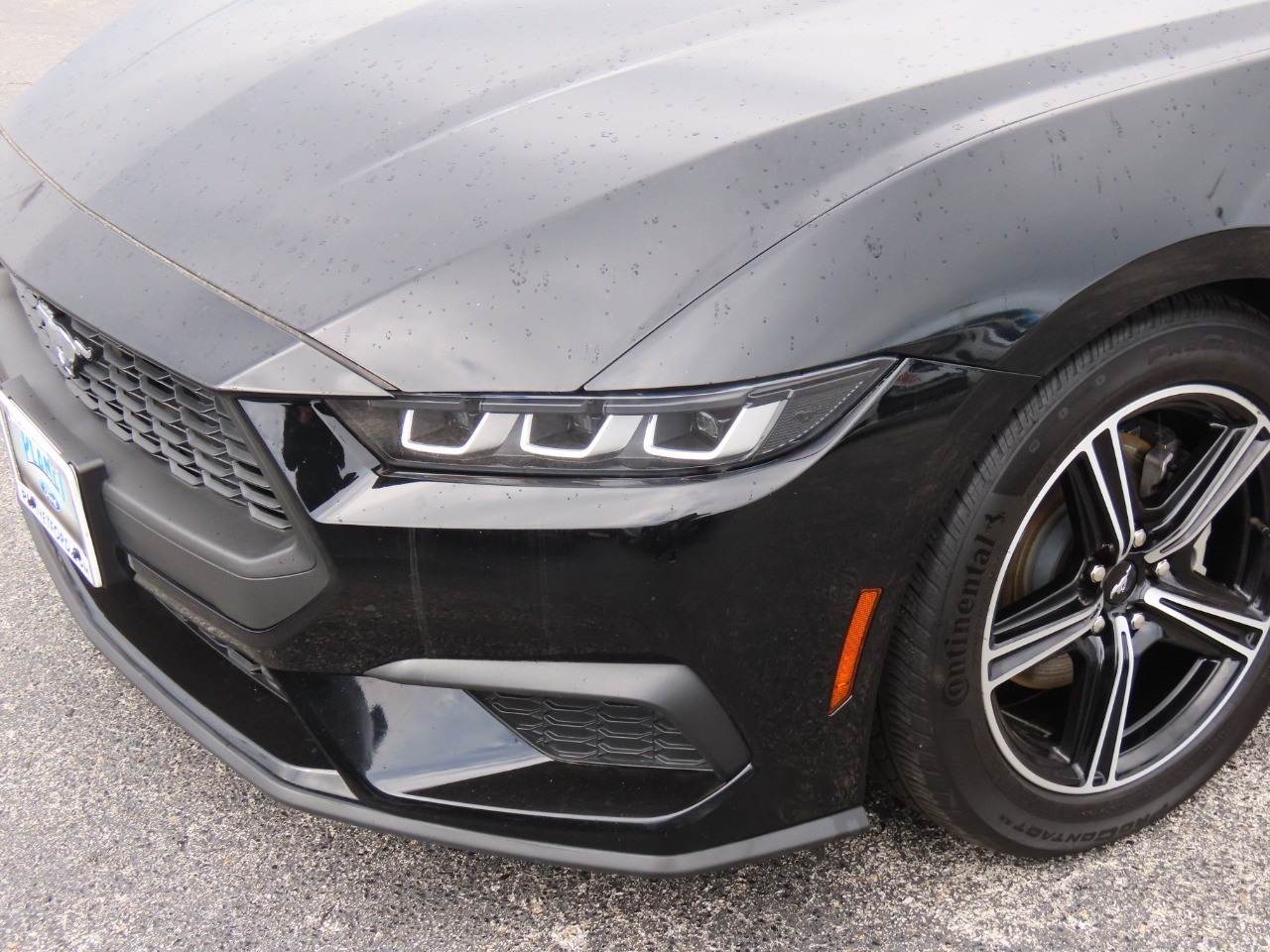 2024 Ford Mustang EcoBoost Premium Shadow Black at Planet Ford