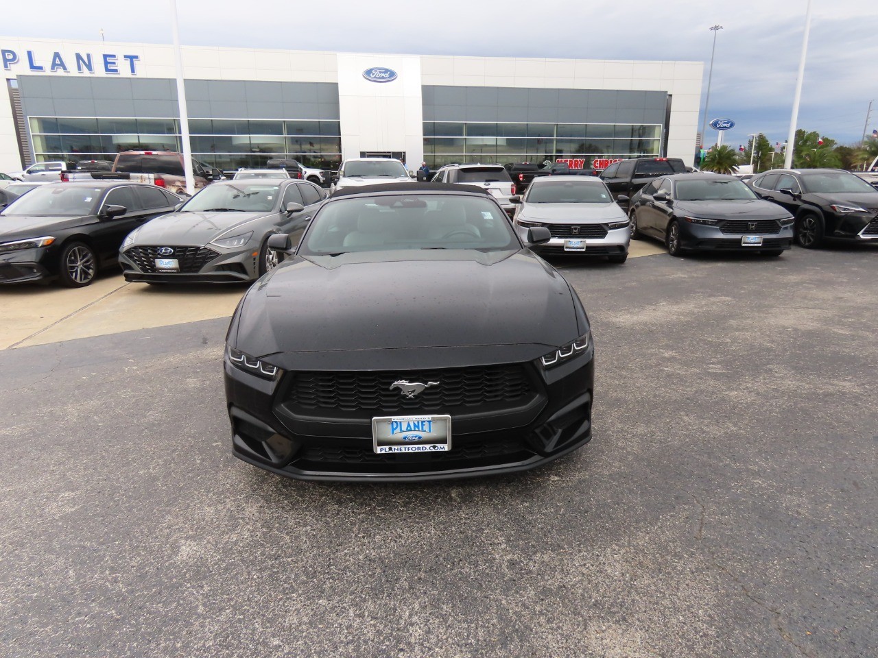 2024 Ford Mustang EcoBoost Premium Shadow Black at Planet Ford