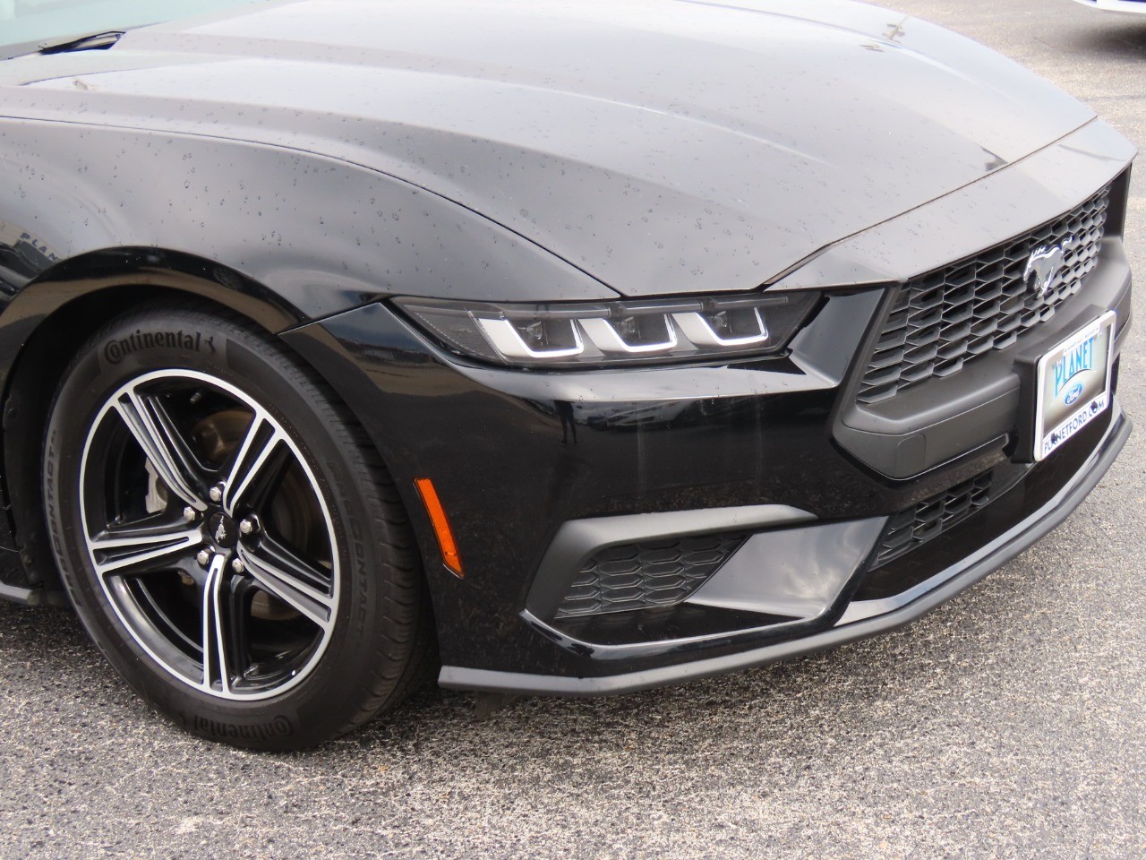 2024 Ford Mustang EcoBoost Premium Shadow Black at Planet Ford