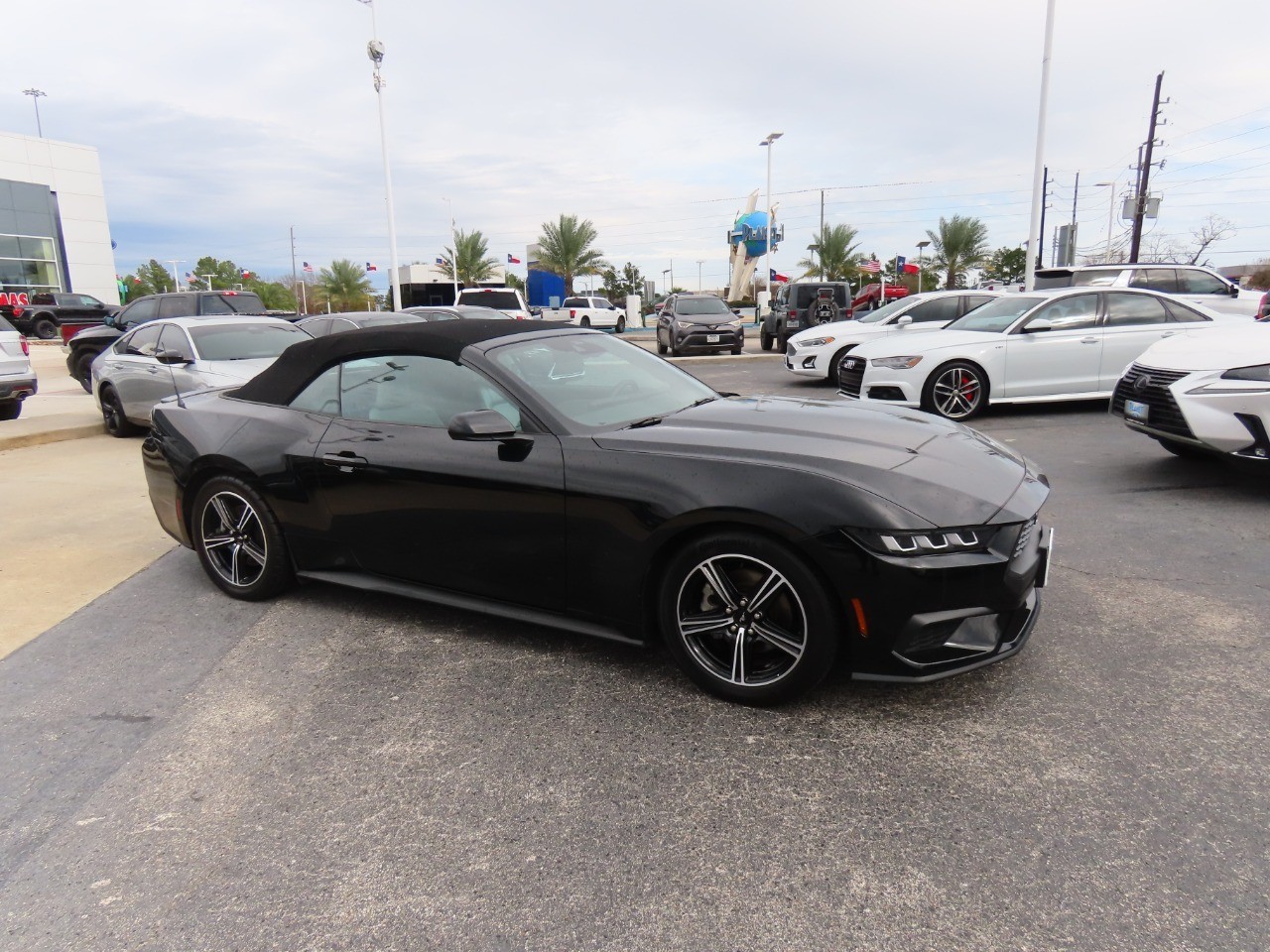 2024 Ford Mustang EcoBoost Premium Shadow Black at Planet Ford