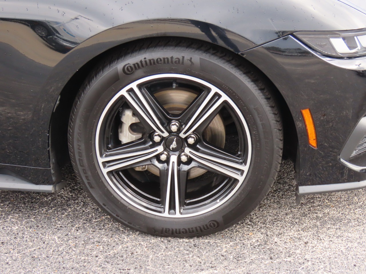 2024 Ford Mustang EcoBoost Premium Shadow Black at Planet Ford