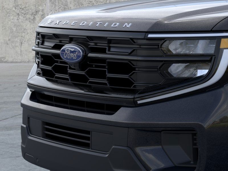 2025 Ford Expedition Active Agate Black Metallic at Planet Ford
