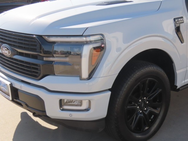 2025 Ford F-150 Platinum - 2