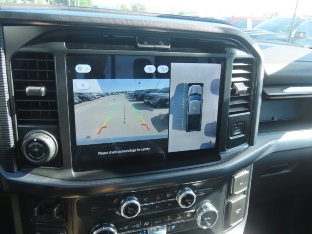 2025 Ford F-150 Platinum - 5
