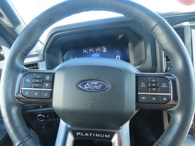 2025 Ford F-150 Platinum - 10