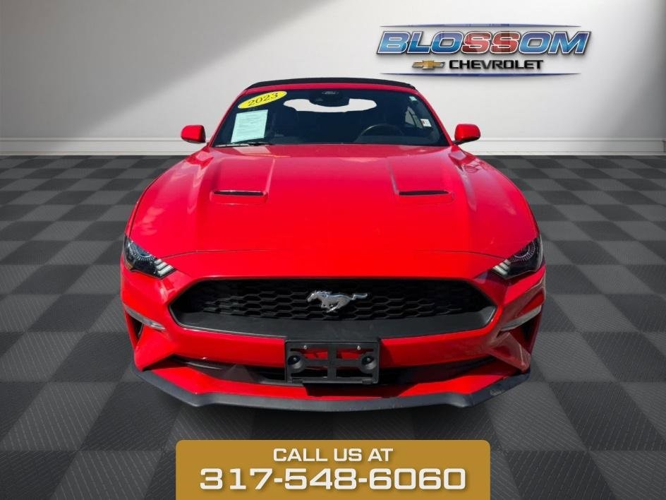 2023 Ford Mustang EcoBoost photo