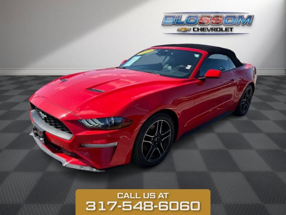2023 Ford Mustang EcoBoost photo