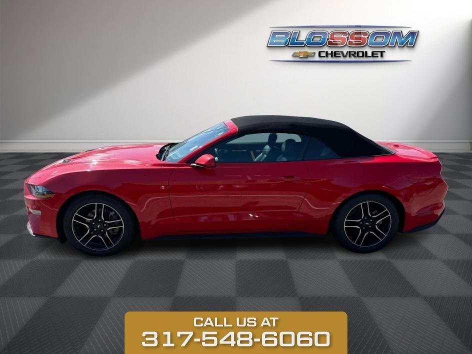 2023 Ford Mustang EcoBoost photo