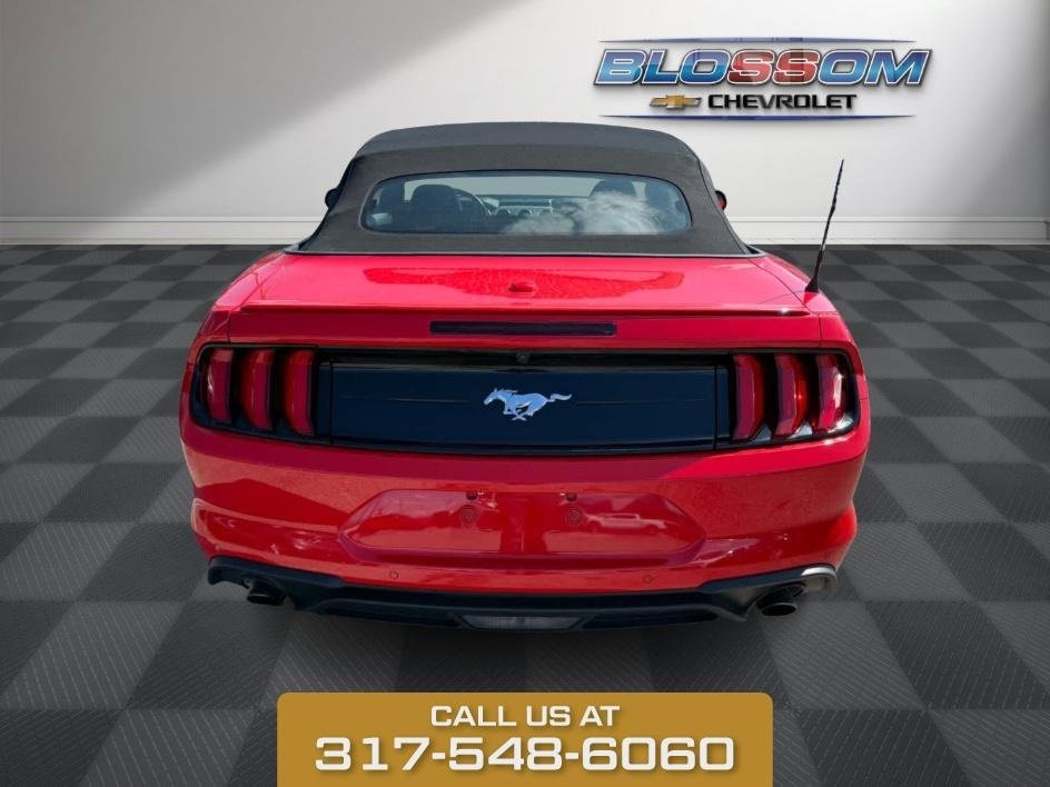 2023 Ford Mustang EcoBoost photo