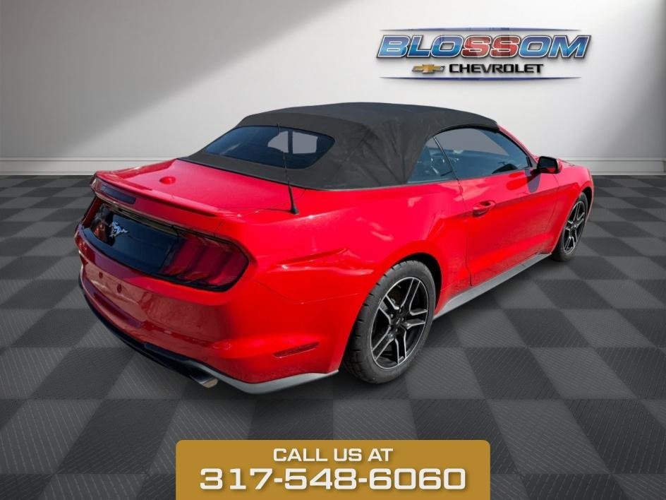 2023 Ford Mustang EcoBoost photo
