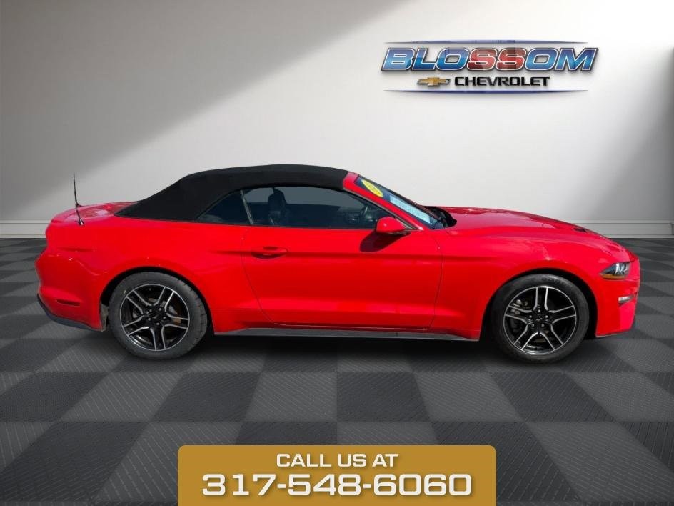 2023 Ford Mustang EcoBoost photo