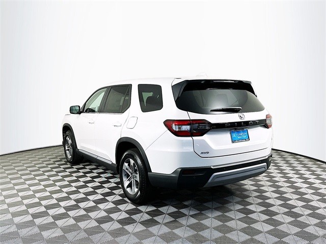 2025 Honda Pilot EX-L photo