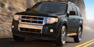 2010 Ford Escape Limited